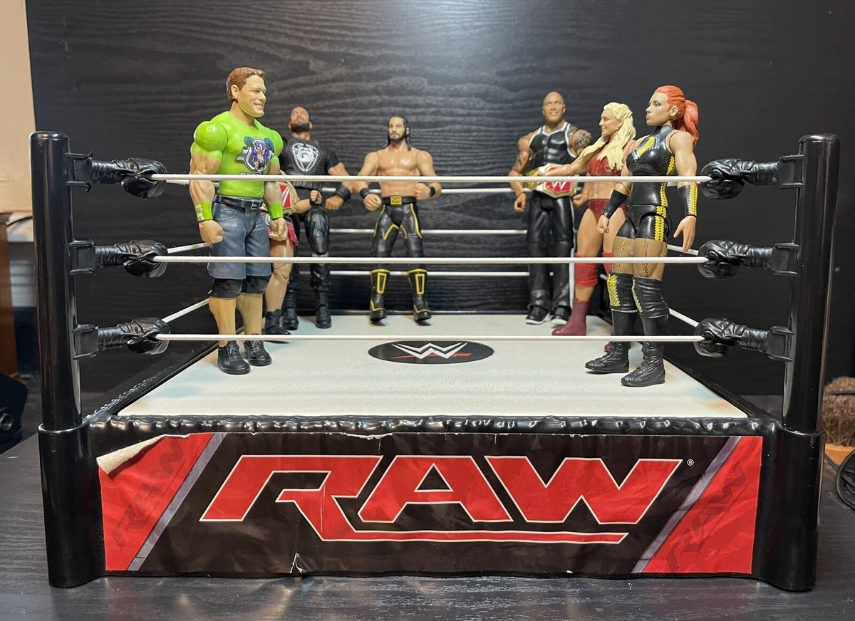 Mattel WWE Wrestlers Ring Lot of 2011-2019 Action Figures John Cena,The  Rock,
