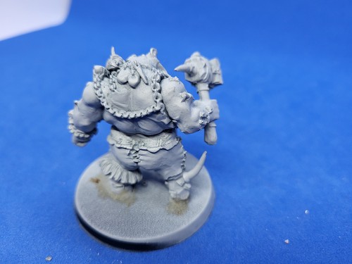 Warhammer Age of Sigmar Ogor Mawtribes Macellaio - Foto 2 di 2