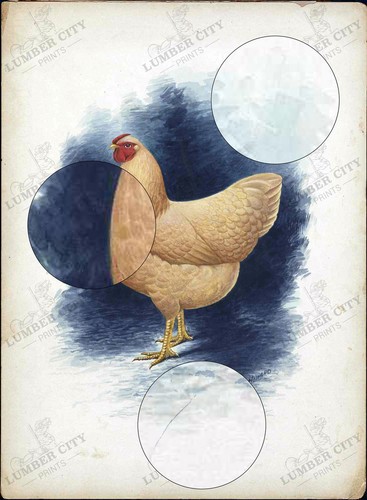 Rhode Island Red Chicken 1950 reproducción póster impresión artística Howard - Imagen 2 de 8