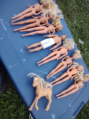 Ken Doll and Other Dolls