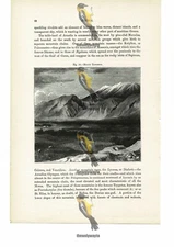 Mount Taygetus, Greece, Book Illustration (Print), 1880