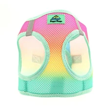 Choke-Free Dog Harness, Step-In Vest for Small to Large Breeds, Breathable Mesh