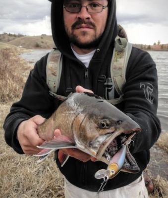 Esca Da Pesca Jerkbait Esca Da Pesca Dynamic Lures J-Spec Jerkbait - Foto 6