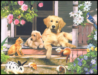 Greeting Card - Cat Dog Hamster Rabbit - Howard Robinson - Birthday - 0323