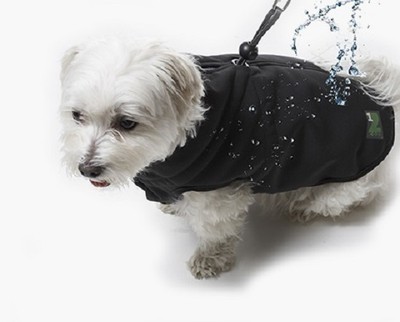 dog coat with harness built in