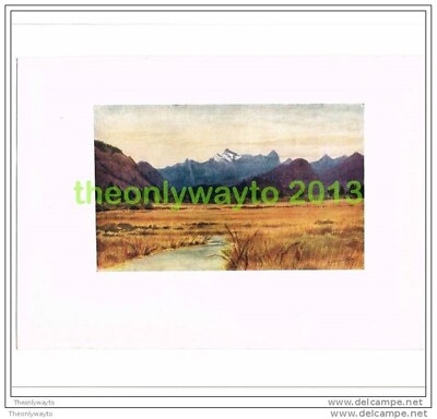 PITT MEADOWS ON THE FRASER RIVER, BRITISH COLUMBIA, Book Illustration, 1907