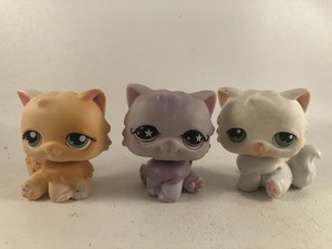 lps persian cat