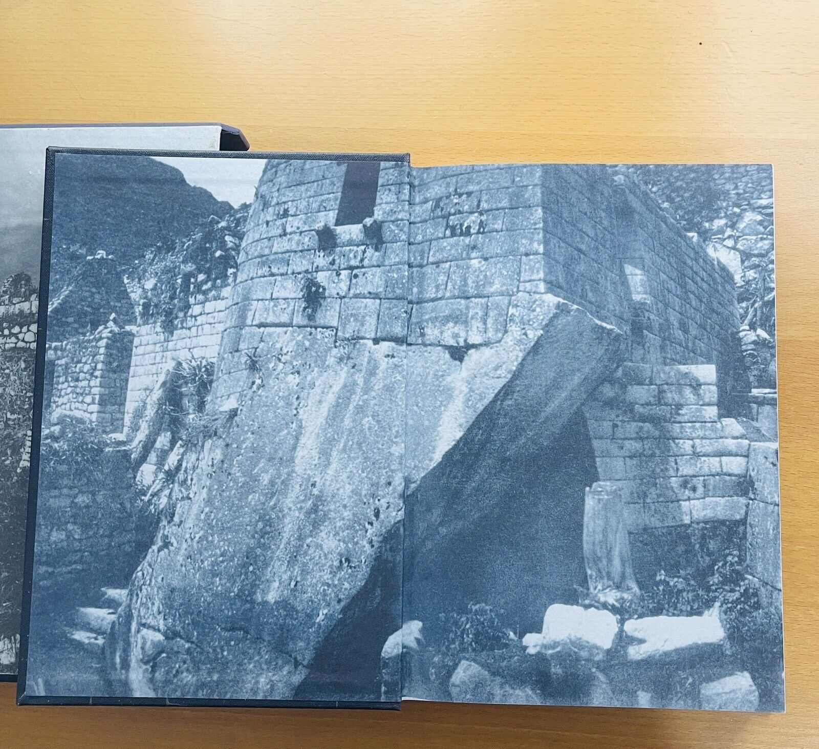 Picture 19 of 19
