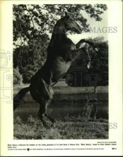 1994 Press Photo Black Beauty in a scene from the movie "Black Beauty"