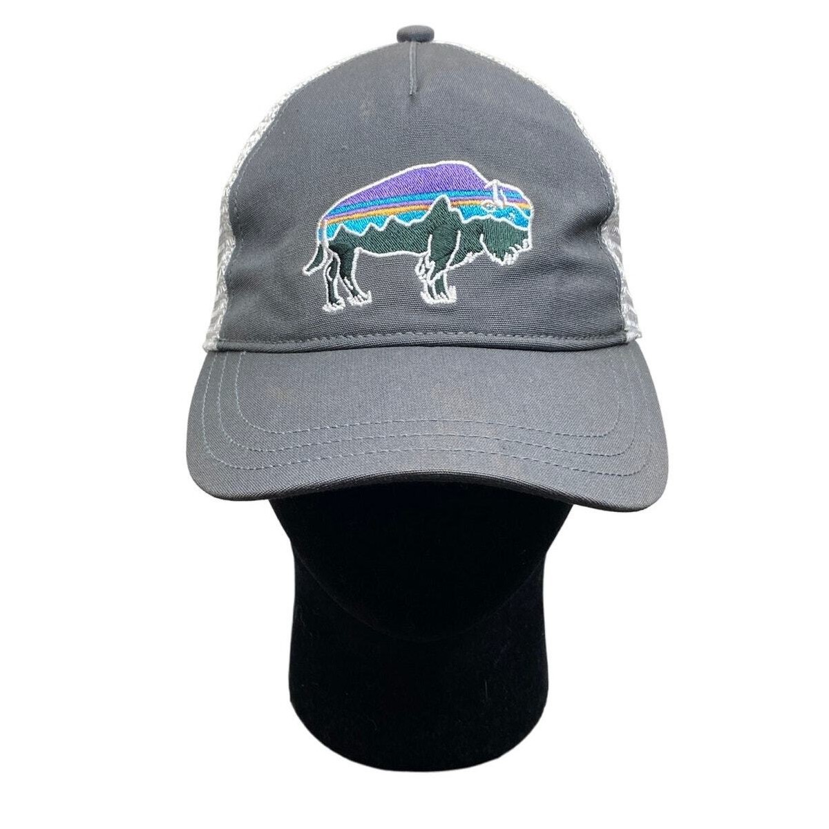 Patagonia Fitz Roy Bison Mesh Trucker Hat Snapback  display picture 1