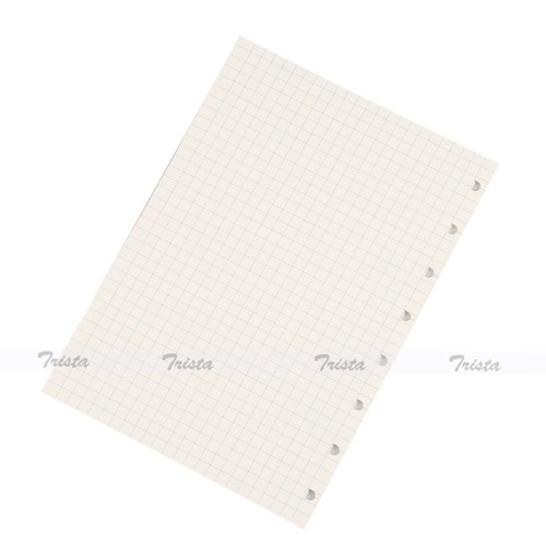 Filofax Book A5 Organiser Notebooks Squared Paper Refill NotePaper Insert-152905 - Picture 4 of 4