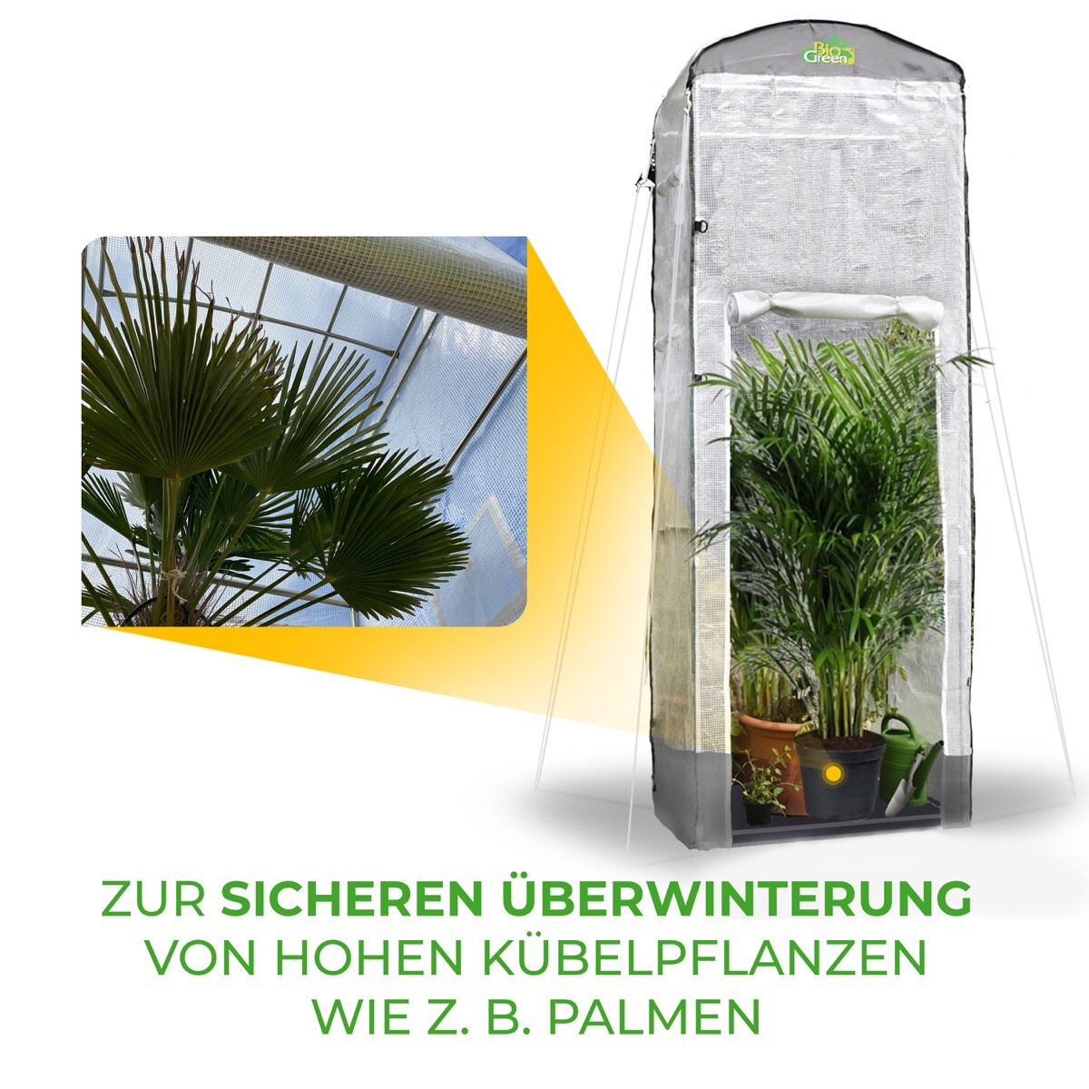 Bild 9 von 9