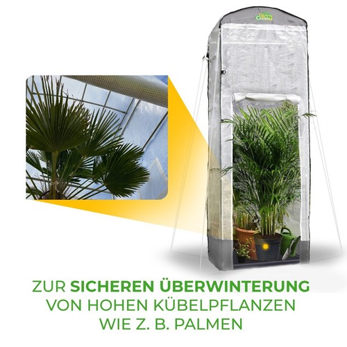 BioGreen Überwinterungszelt "Patioflora 120/XL" L 120 x B 120 x H 300 cm - Bild 9 von 9