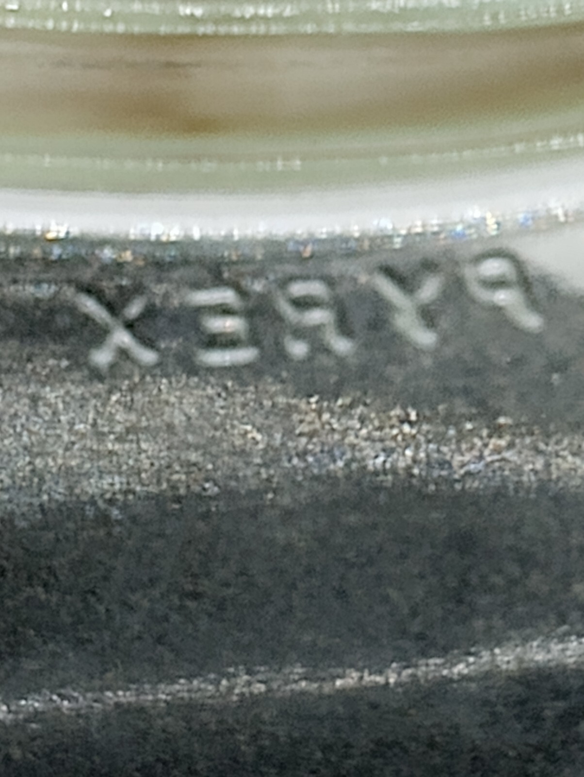 Picture 6 of 6