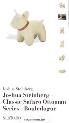 Joshua Steinberg  safaro Ottoman Bouledogue - French Bulldog