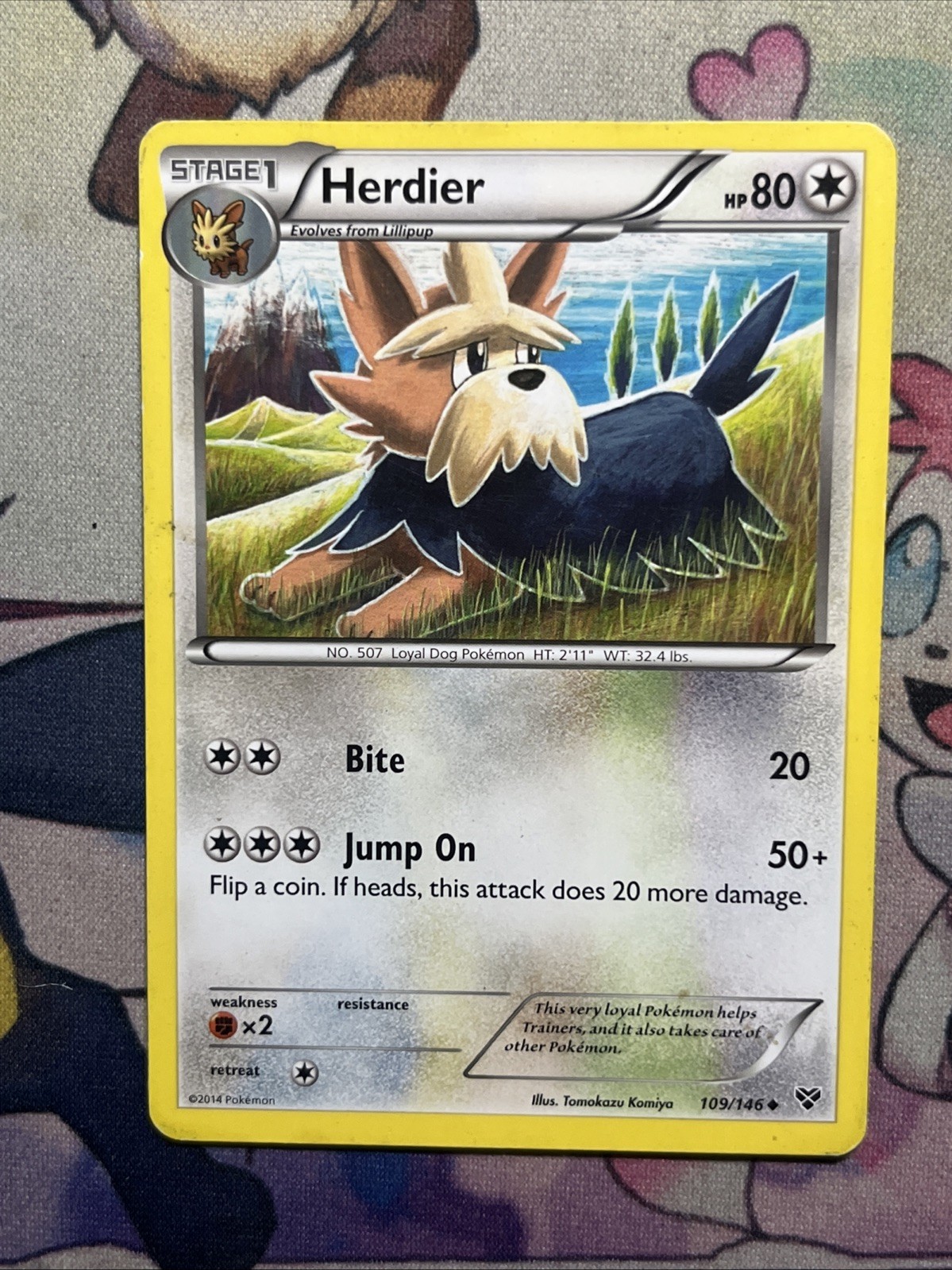 Herdier 109/146 XY Base Set Pokemon TCG DMG Normal