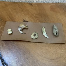 Elk Ivory Tooth/imitation, Grizzly Claw/Vtg Antler Button/Coyote Tooth/Rock