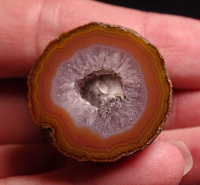 Chinese Fighting Blood Agate Half Nodule Collector Rock Middle Class Mine China