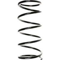 Spidan 49333 Fahrwerksfeder FüR Volvo V40 S40 644 645