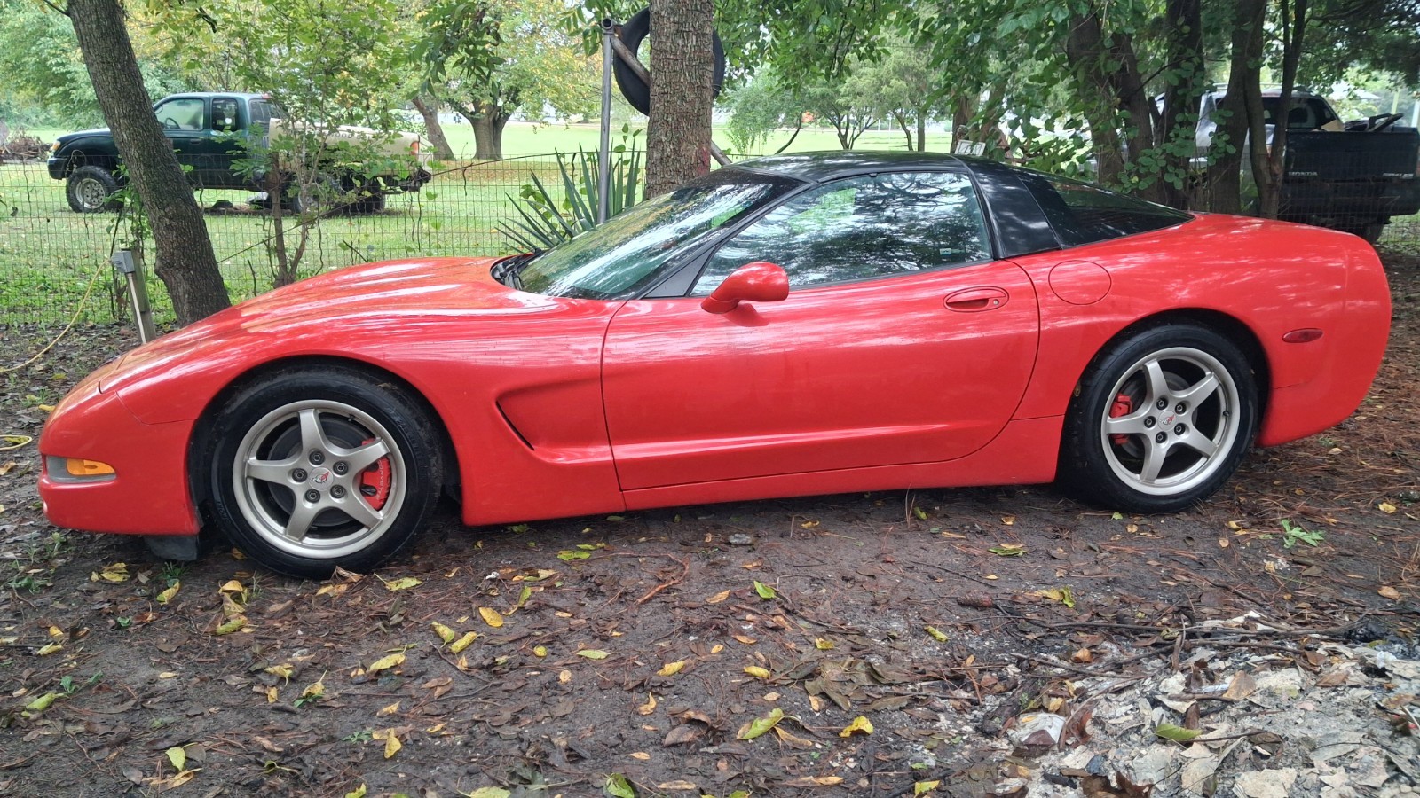 1999 Red Chevrolet Corvette   | C5 Corvette Photo 6
