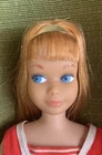 Vintage Barbie Beautiful Straight Leg Skipper Doll 1960’s W Booklet, Shoes