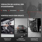 Bild 8 von 8