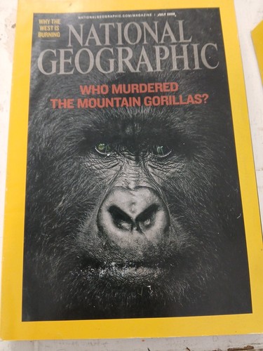 National Geographic 07/2008 Who Murdered The Mountain Gorilllas?  - Foto 1 di 3