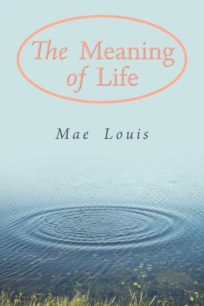 The Meaning Of Life Mae Louis Taschenbuch Kartoniert / Broschiert Englisch 2012-image