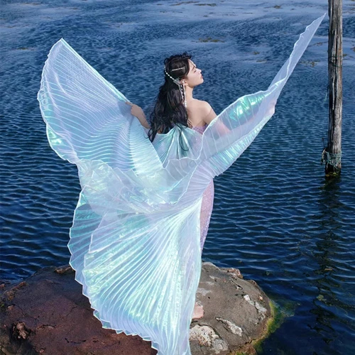 Transparent Belly Dance Wings Stage Performance Dancing Props - Picture 23 of 42