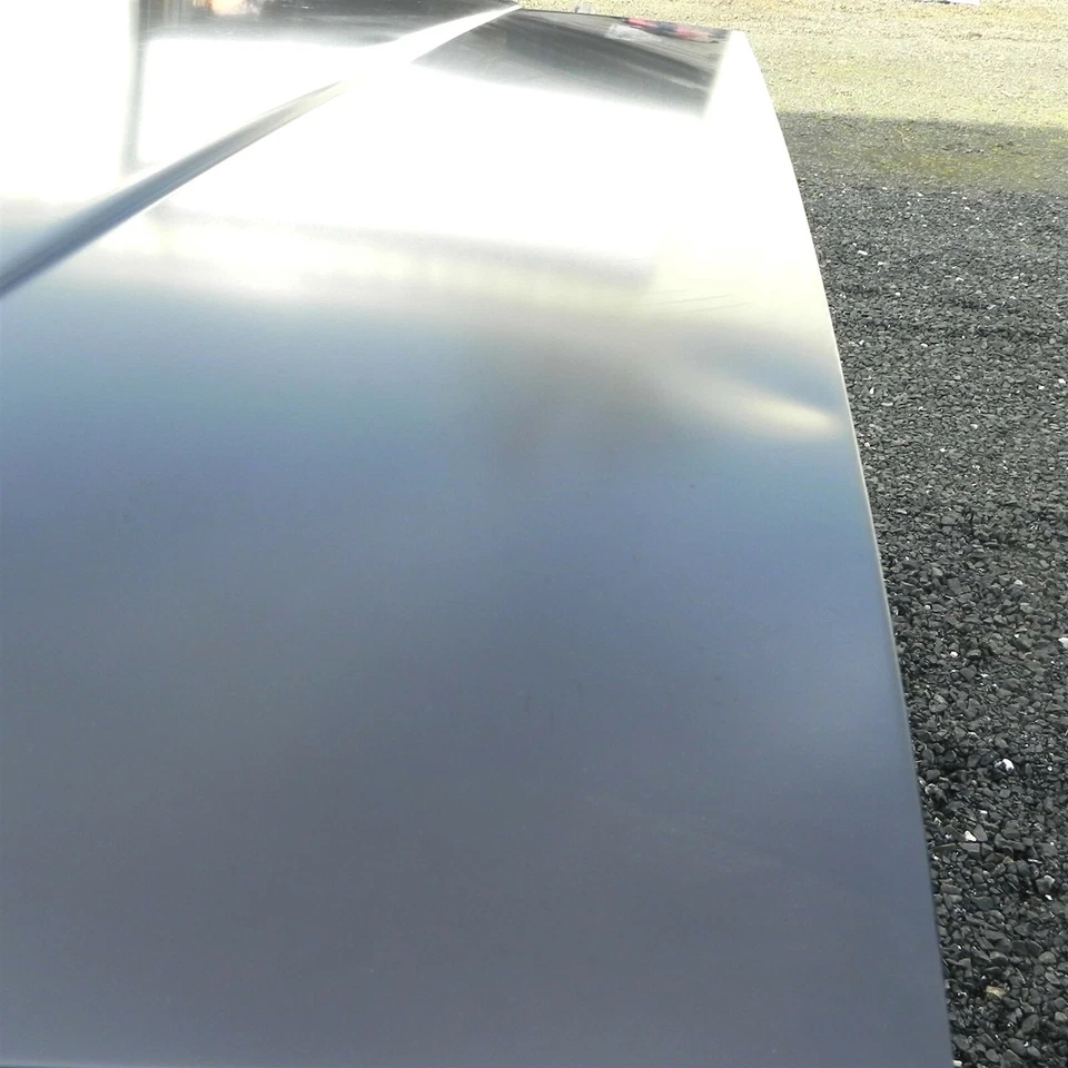 Pontiac 6000 1987-1991 capó fabricante original pieza nueva 10070690 vintage Foto 2 de 4