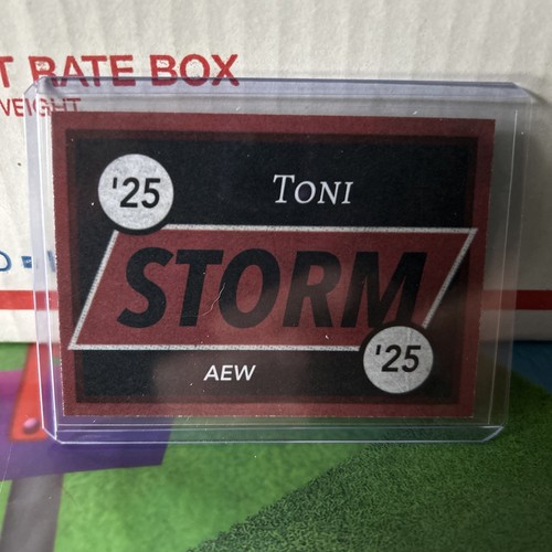 Toni Storm Custom AEW Divas Sexy Trading Card - 第 2/2 張圖片