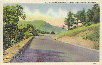 Vintage Skyline Drive Virginia Postcard Looking Toward Stony Man Peak Scenic