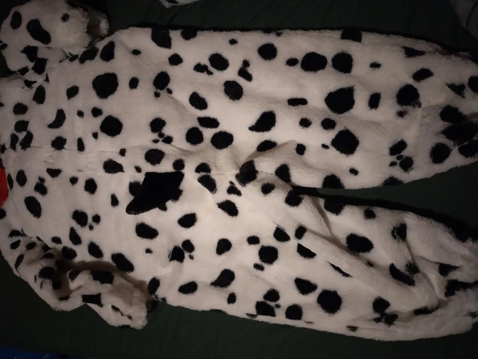 Disney Store 101 Dalmatians Suit Costume 18-24months Great Condition  - Image 2 of 3