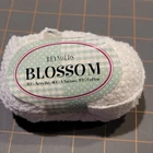 REYNOLDS BLOSSOM YARN  SUPER SOFT WHITE  MADE IN ITALYCOMBINE SHIP