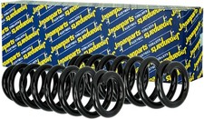 2x JAPANPARTS Federn Fahrwerksfedern hinten für Audi A6 Avant 4F5 C6 4F2