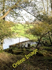 Photo 6x4 Wadhurst Deer Park Lake Dam from Bett's Wood Combe/TQ6228  c2013