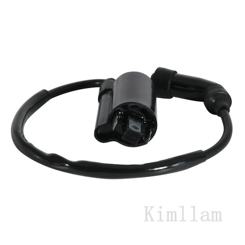 For SMC ATV Ignition Coil Assy Barossa Jumbo 300 301 302 Barossa RAM 300 Razzer - Picture 10 of 10