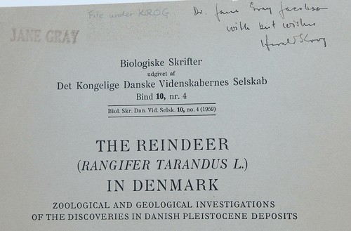 Der Rentier Rangifer Tarandus L in Dänemark 1959 signiert/beschriftet 1. Kopenhagen - Bild 7 von 7