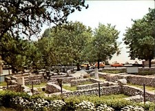 Roman Ruins Constanta Romania vintage postcard n686
