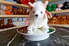 TY Beanie Baby - Snocap the Arctic Fox | Tush Tag Wear | Vintage | Rare