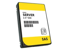 WL OEM 960GB SAS 12Gb/s 2.5" Enterprise SSD