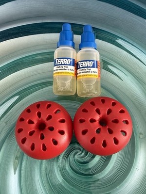 2 Indoor Fruit Fly Traps Terro Trap With Window Available Ships Free