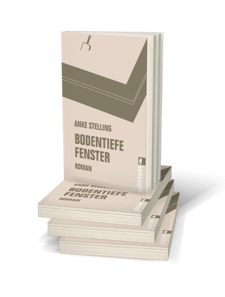 Thumbnail - Bodentiefe Fenster | Anke Stelling | 2016 | Deutsch