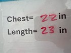 Afbeelding 6 van 7