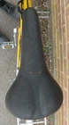 Picture 12 of 13