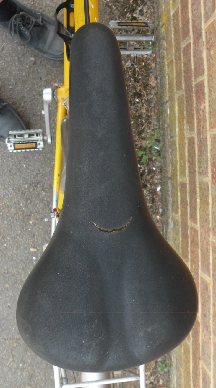 Picture 12 of 13