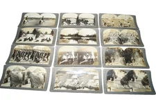 12 Keystone View Company Stereo view Cards USA Scenery Whitehouse Niagra