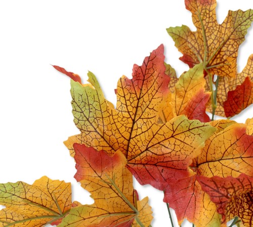 Kunstpflanze Strauch Blätterwedel Strauß Ahorn Sonnenblume Herbst Deko Zapfen - Bild 5 von 14