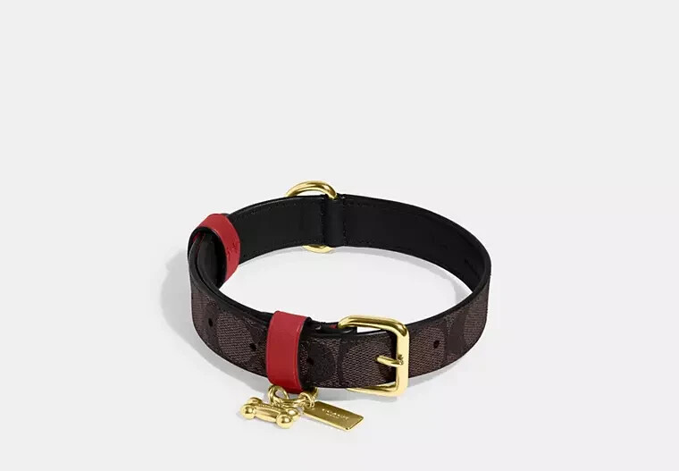 COACH Pet Collar In Signature Canvas, Gold/Brown Black/Red Apple