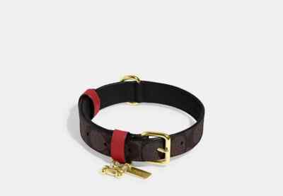 COACH Pet Collar In Signature Canvas, Gold/Brown Black/Red Apple